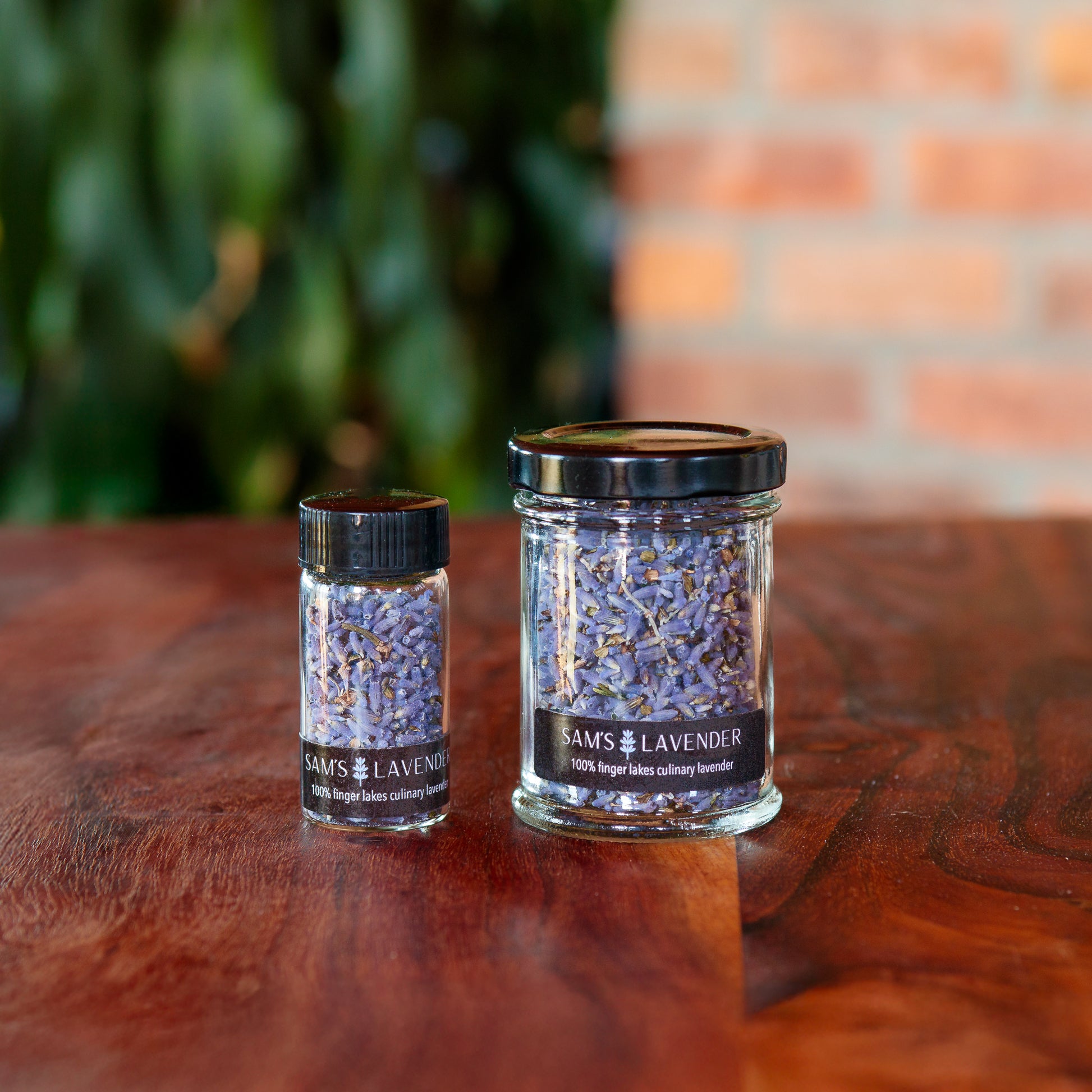 Glass jar and mini vial of Sam's culinary lavender buds