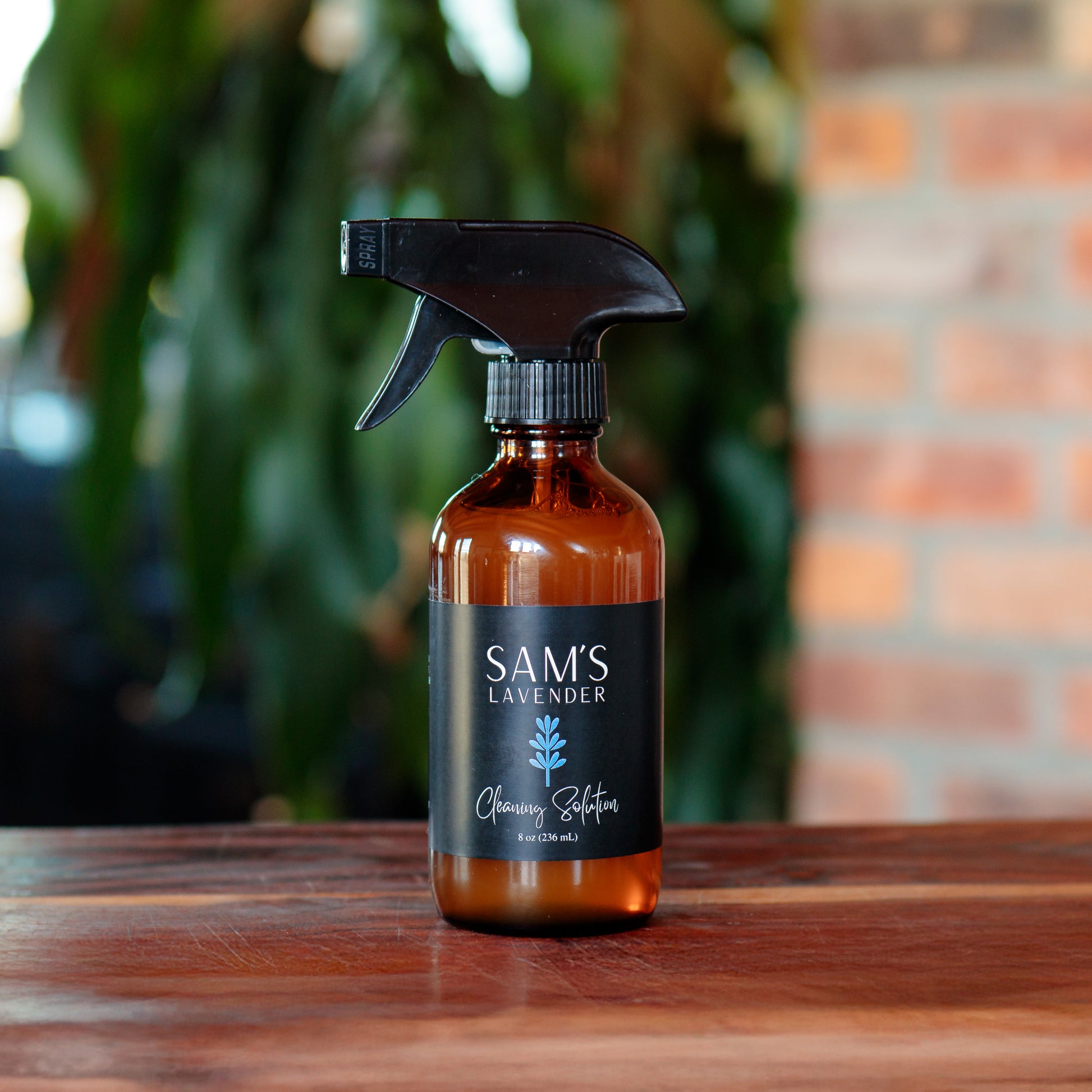 Amber glass 8oz bottle with a black trigger spray and label that reads "Sam's Lavender Cleaning Solution 8oz"