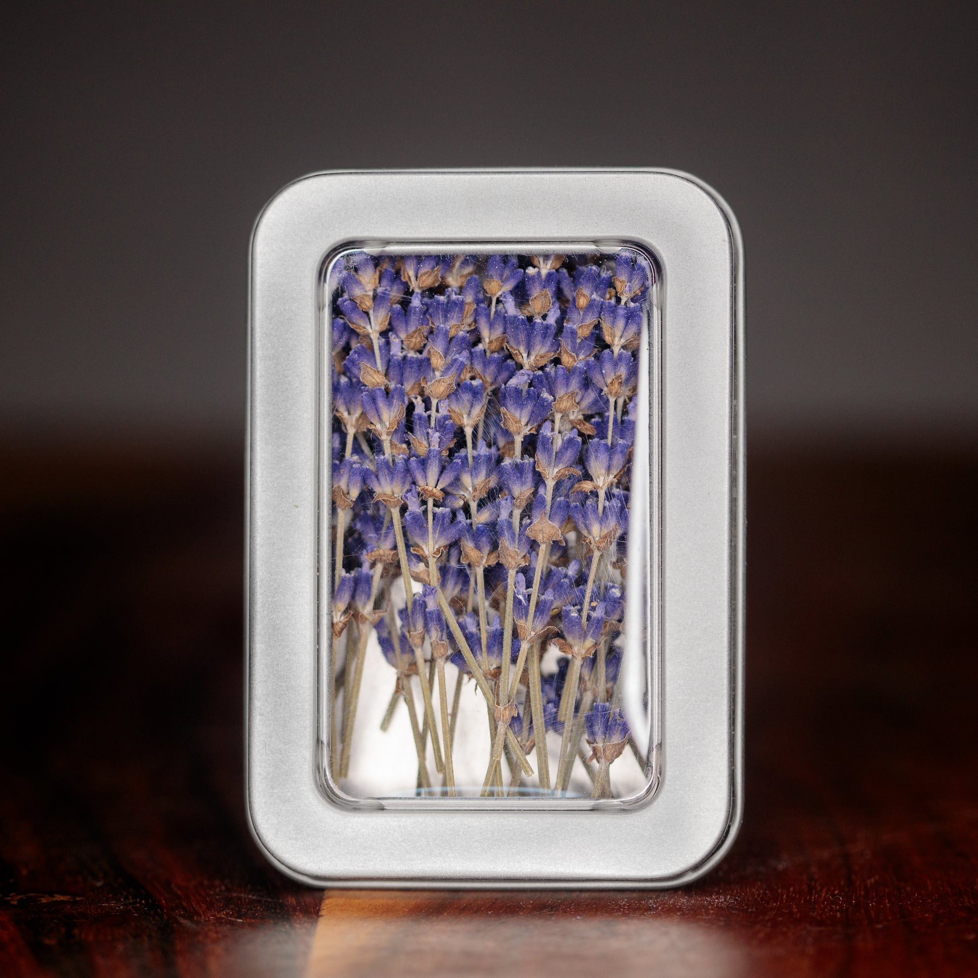A rectangular container holding dried culinary lavender sticks against a dark background.