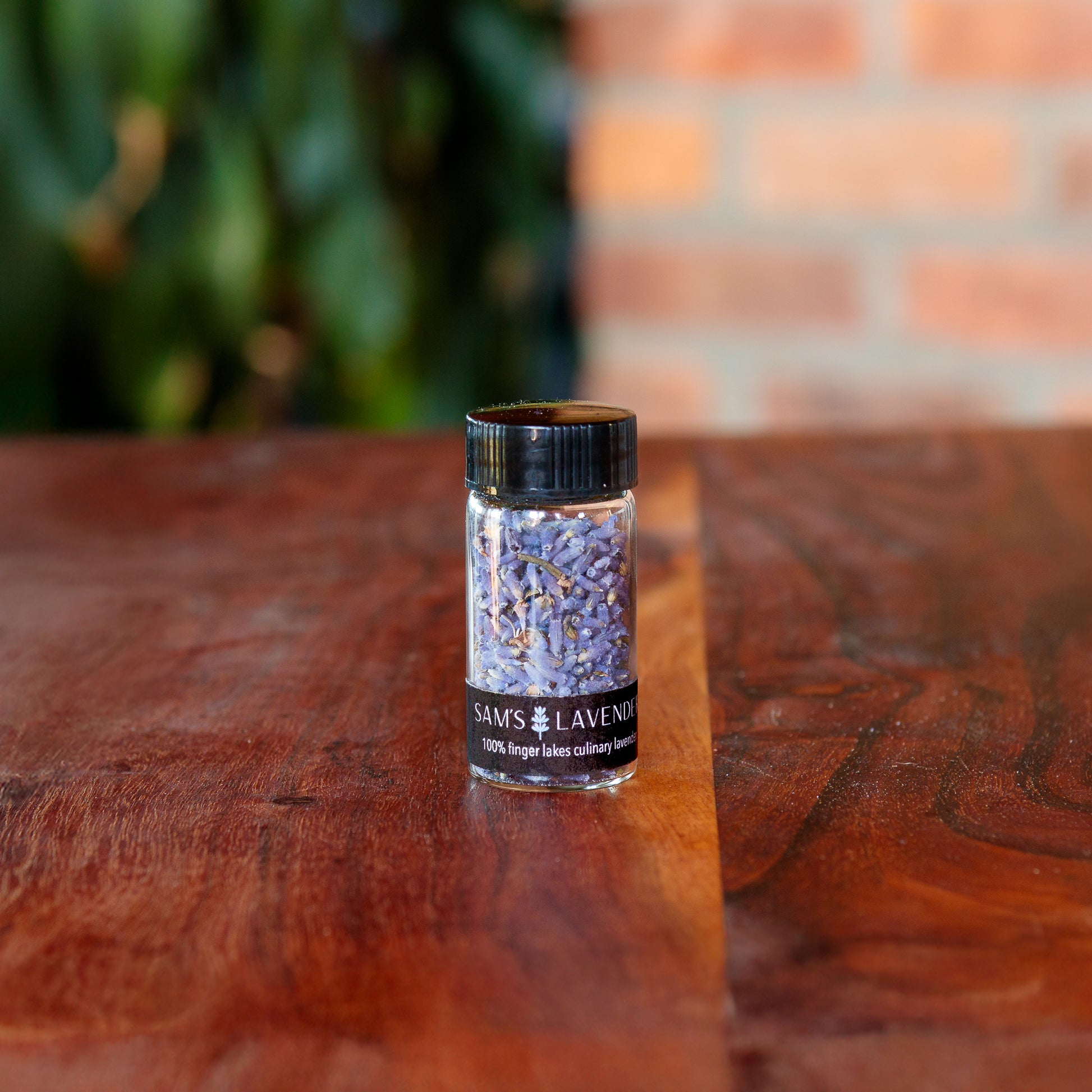 Small glass vial of Sam's culinary lavender buds